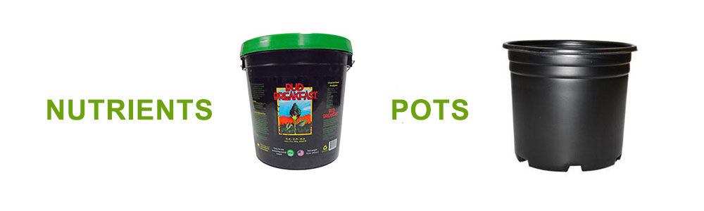 Nutrients and grow pots are vital to support cannabis plants.