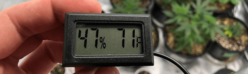 Temperature and humidity of cannabis cultivation.