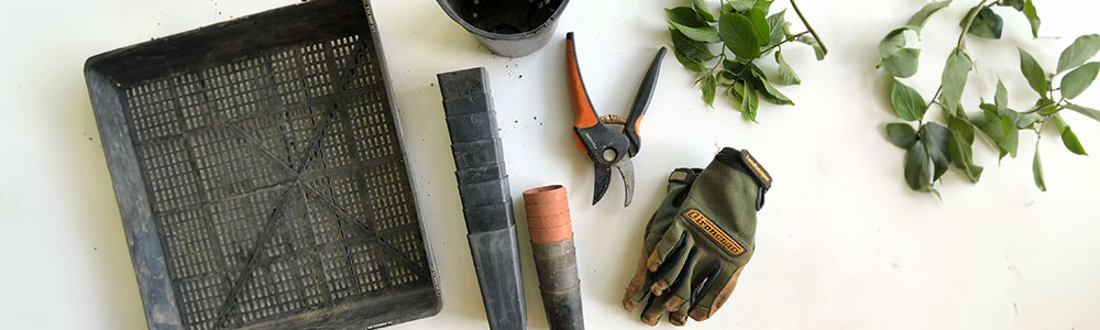Tools for harvesting marijuana