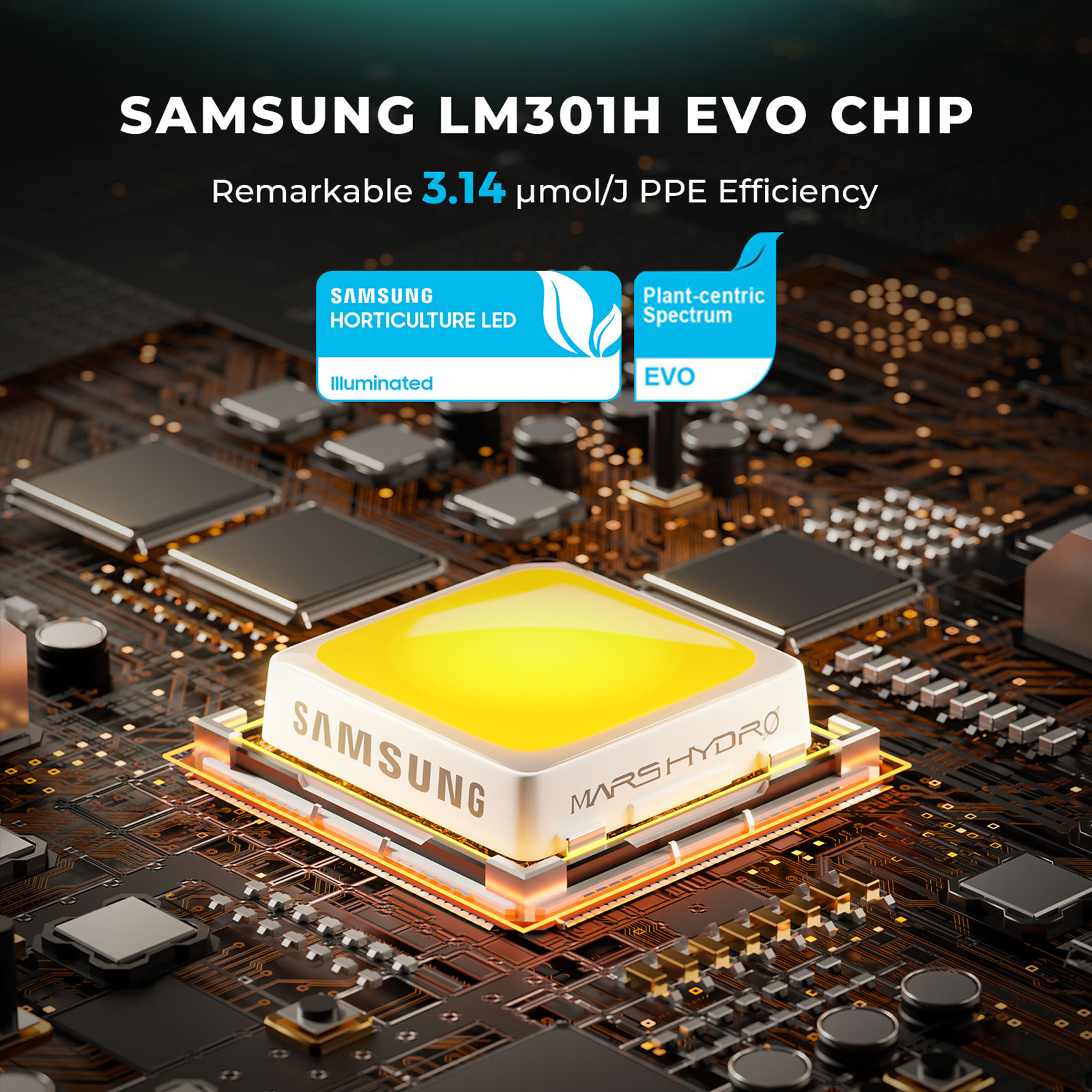 FC-EVO Samsung LM301H EVO Chip